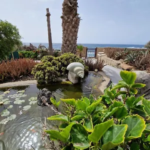 https://little-paradise-in-el-medano-2.in-canary-islands.com